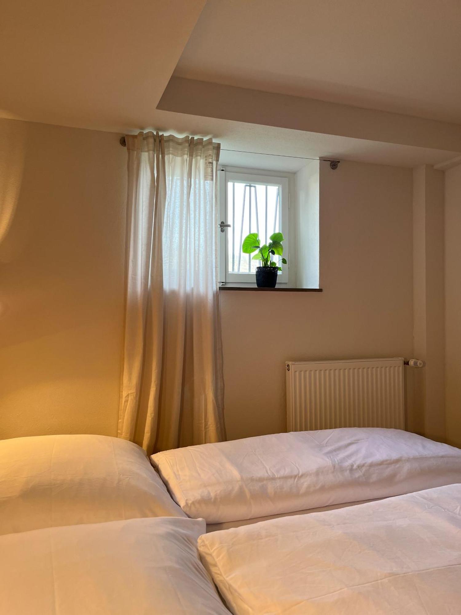 Kolberg Studio - Moderne Ferienwohnung In Boppard Eksteriør bilde